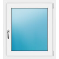 Fenster einflügelig 80x90 cm