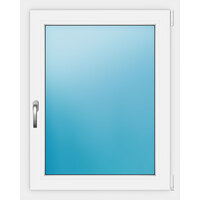 Fenster 1-Teilig 80x100 cm