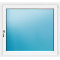 Fenster einflügelig 120x110 cm
