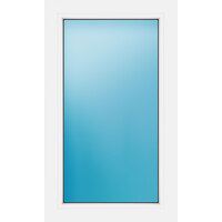 Festelement 60x100 cm