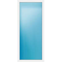 Festelement 100x230 cm