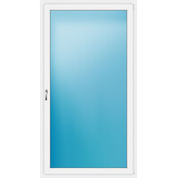 Balkontür einflügelig 120x220 cm